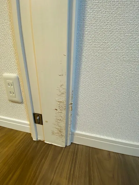 GSハイム山手 2階の物件画像15